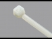 紮線帶/Cable Tie
